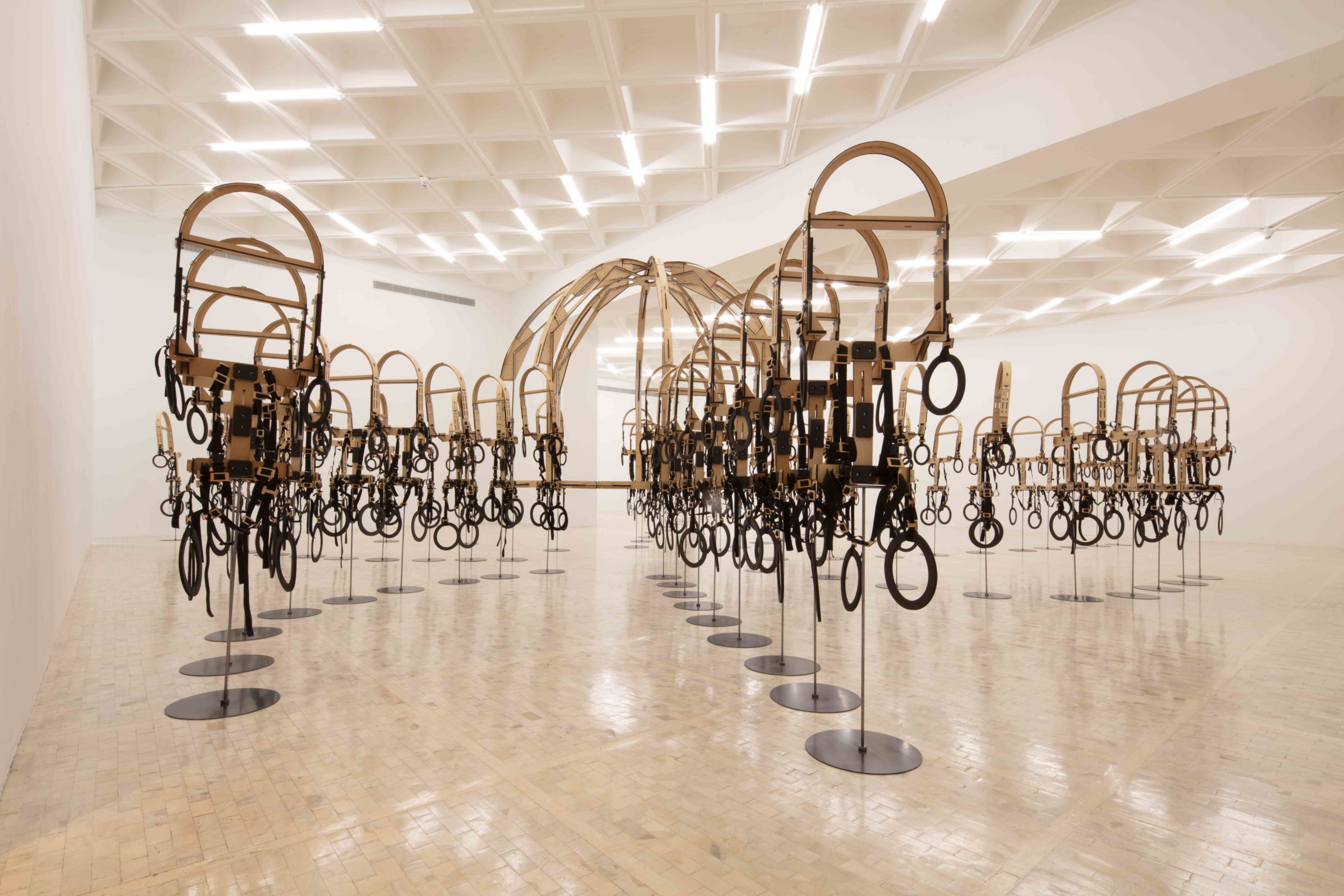 Eduardo Navarro: octopia (Fig. 1)