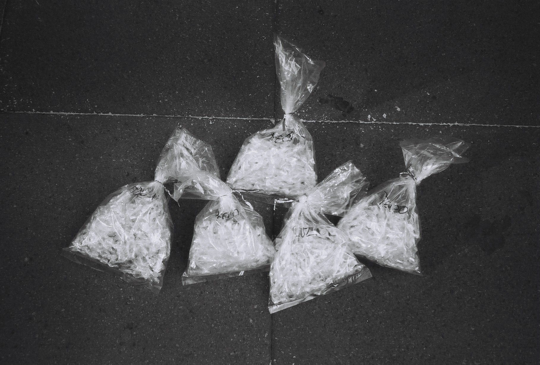 Eduardo Navarro: five invisible haikus (Fig. 1)