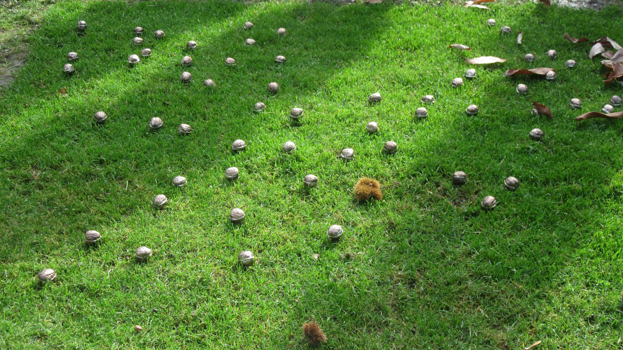 Eduardo Navarro: letters to earth (Fig. 1)