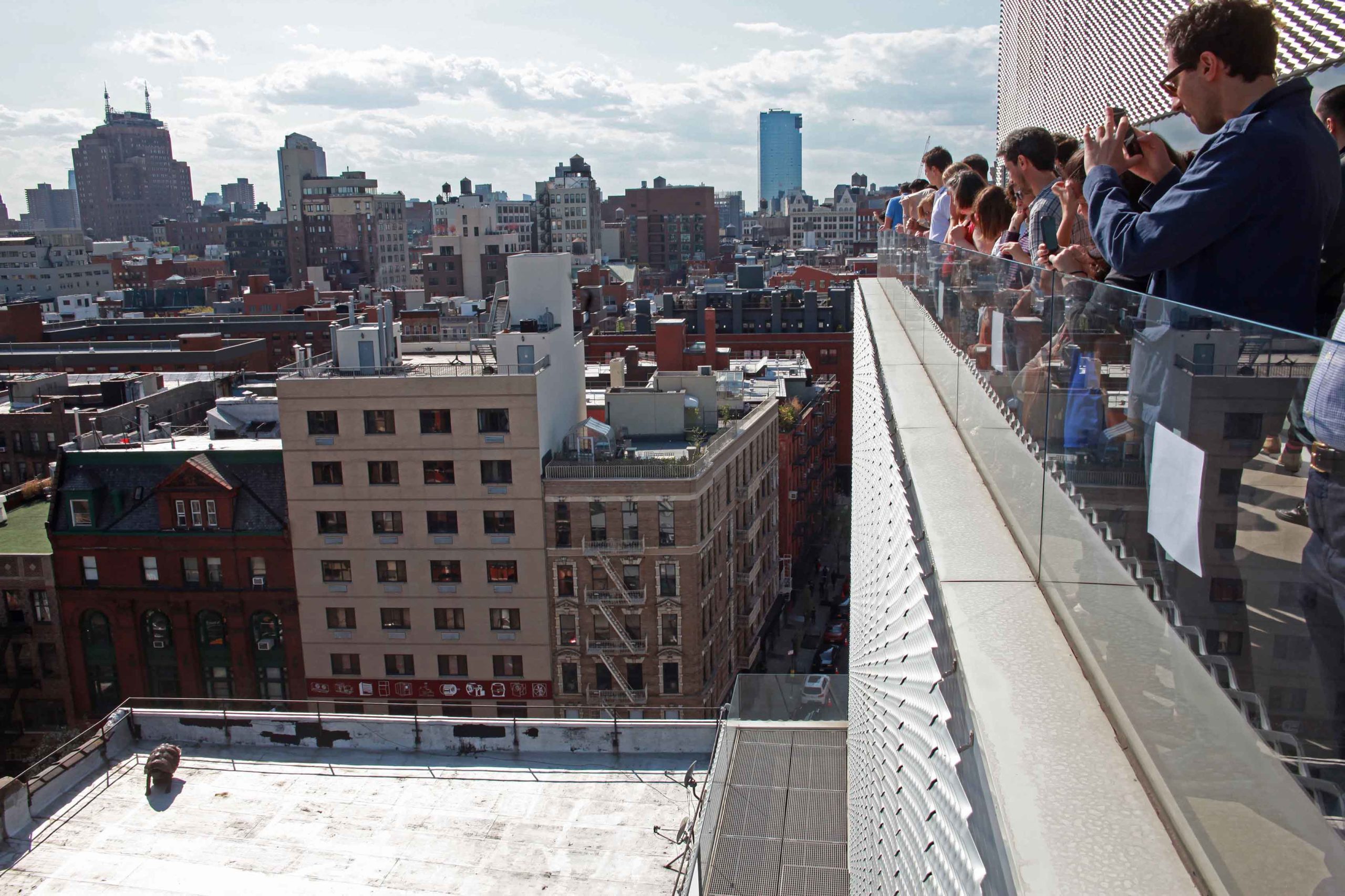 Eduardo Navarro: timeless alex (Fig. 1)