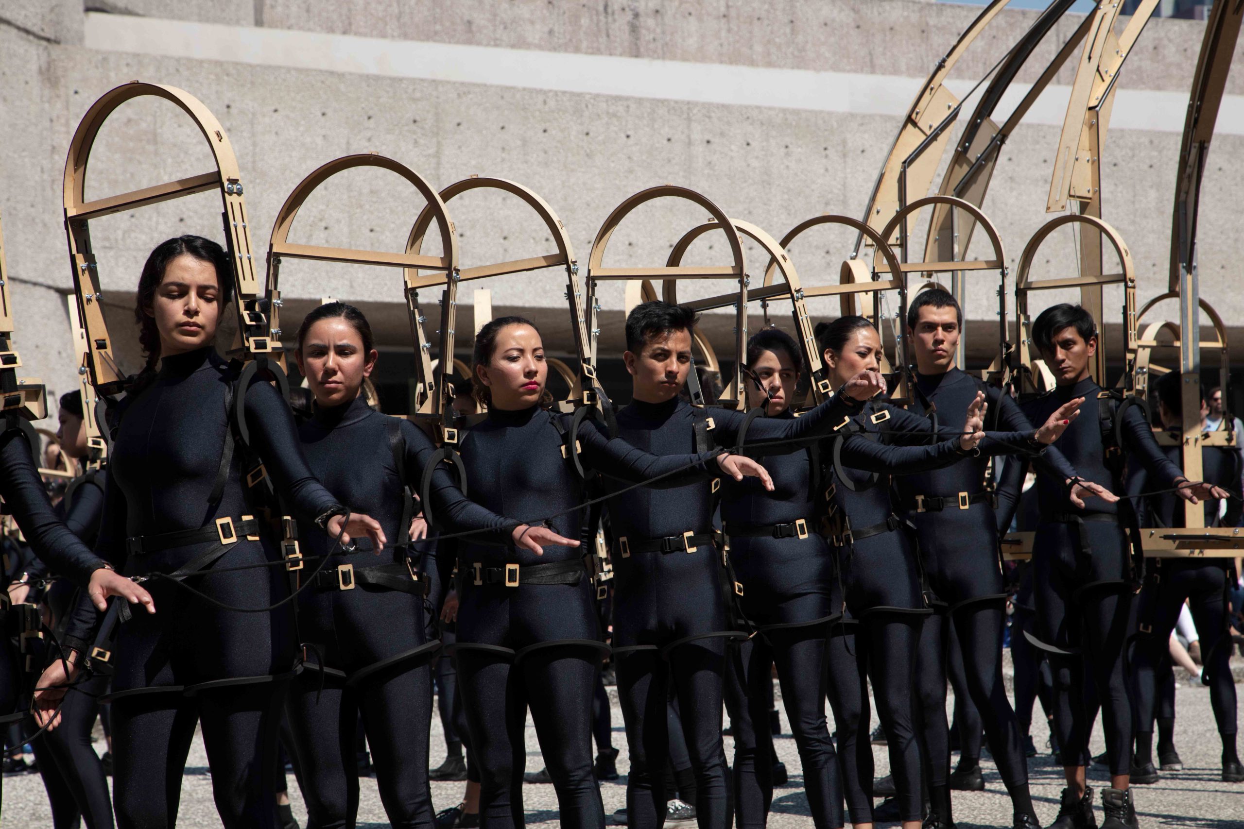 Eduardo Navarro: octopia (Fig. 7)