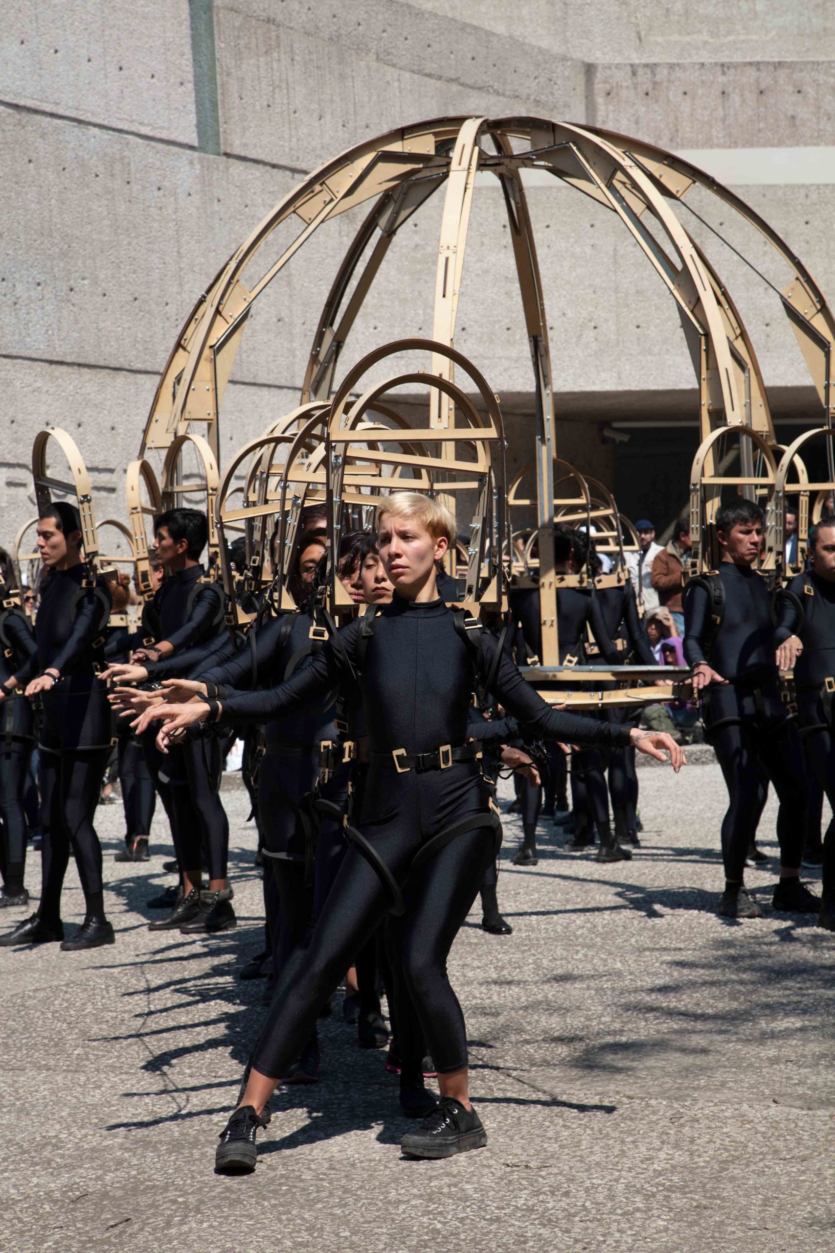 Eduardo Navarro: octopia (Fig. 19)