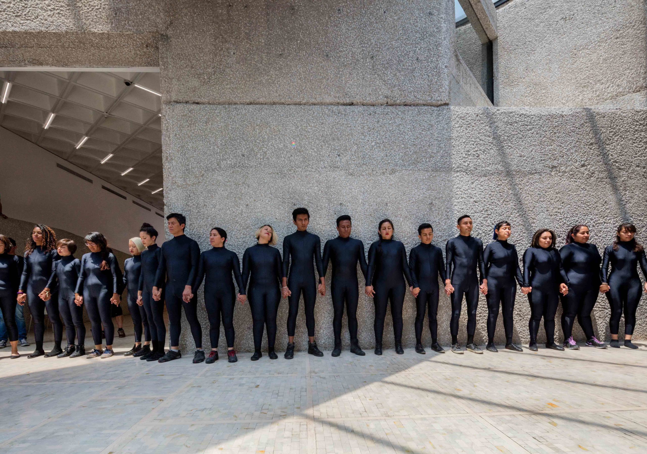 Eduardo Navarro: octopia (Fig. 9)