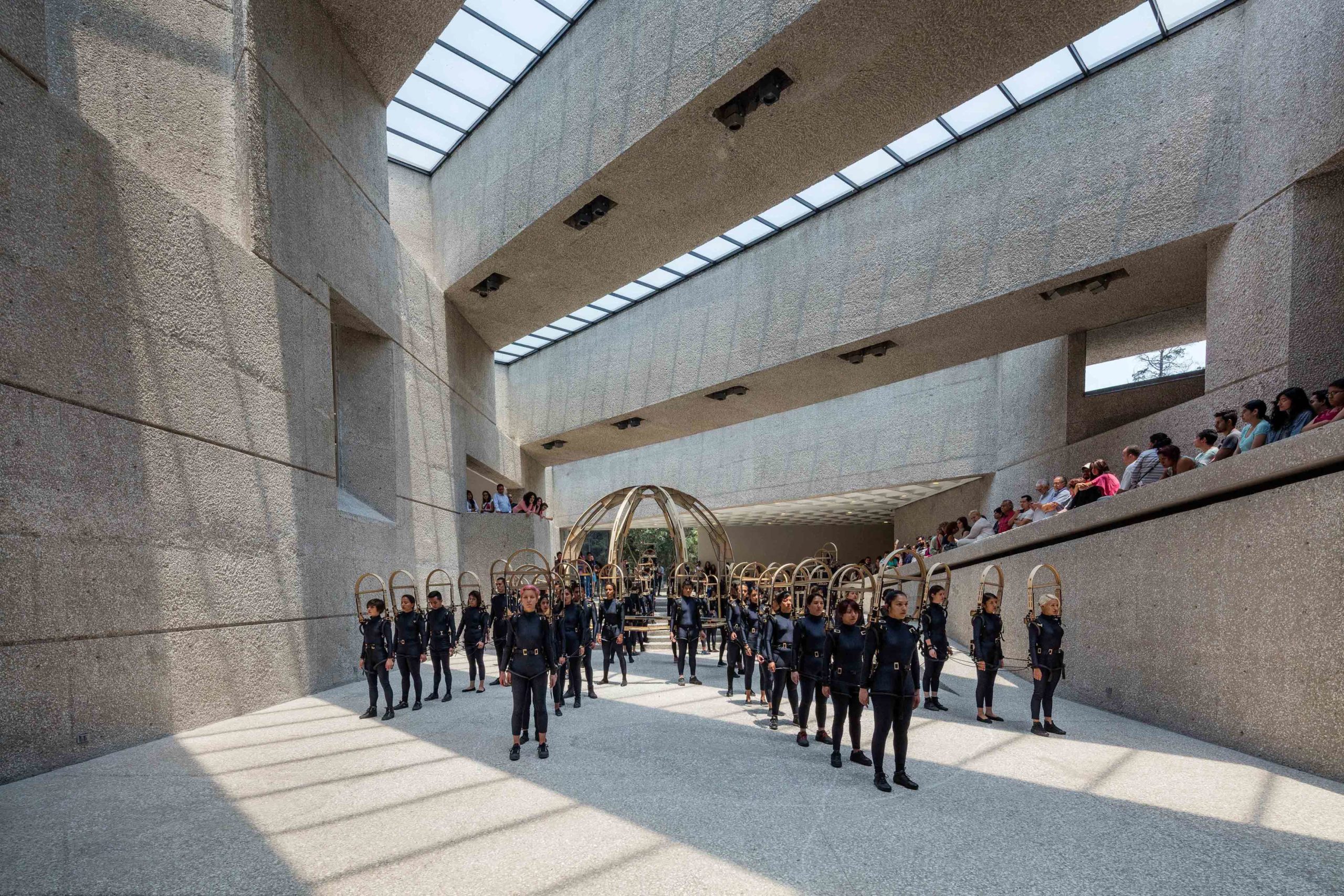 Eduardo Navarro: octopia (Fig. 10)