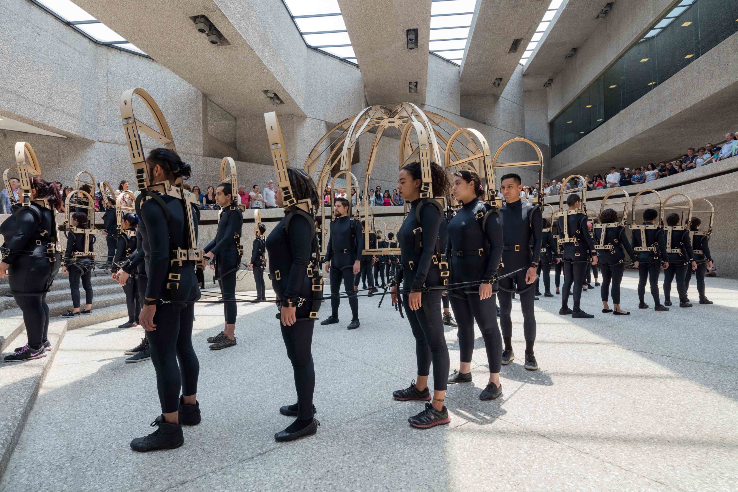 Eduardo Navarro: octopia (Fig. 12)