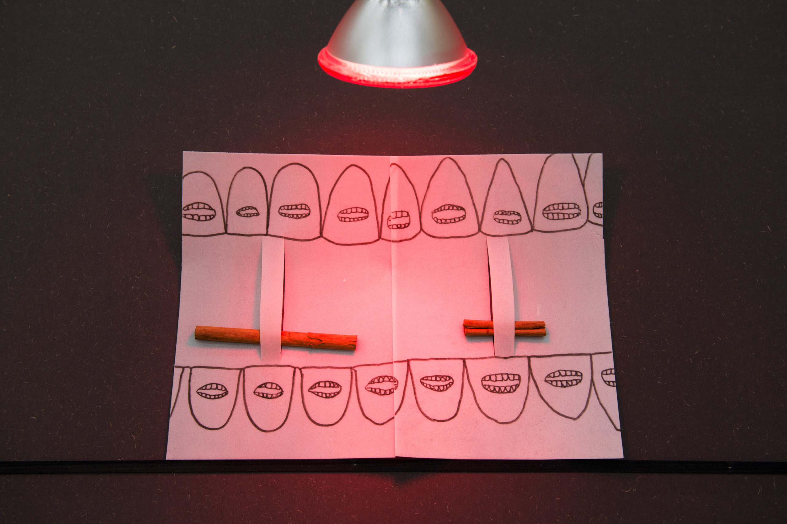 Eduardo Navarro: into ourselves (Fig. 14)