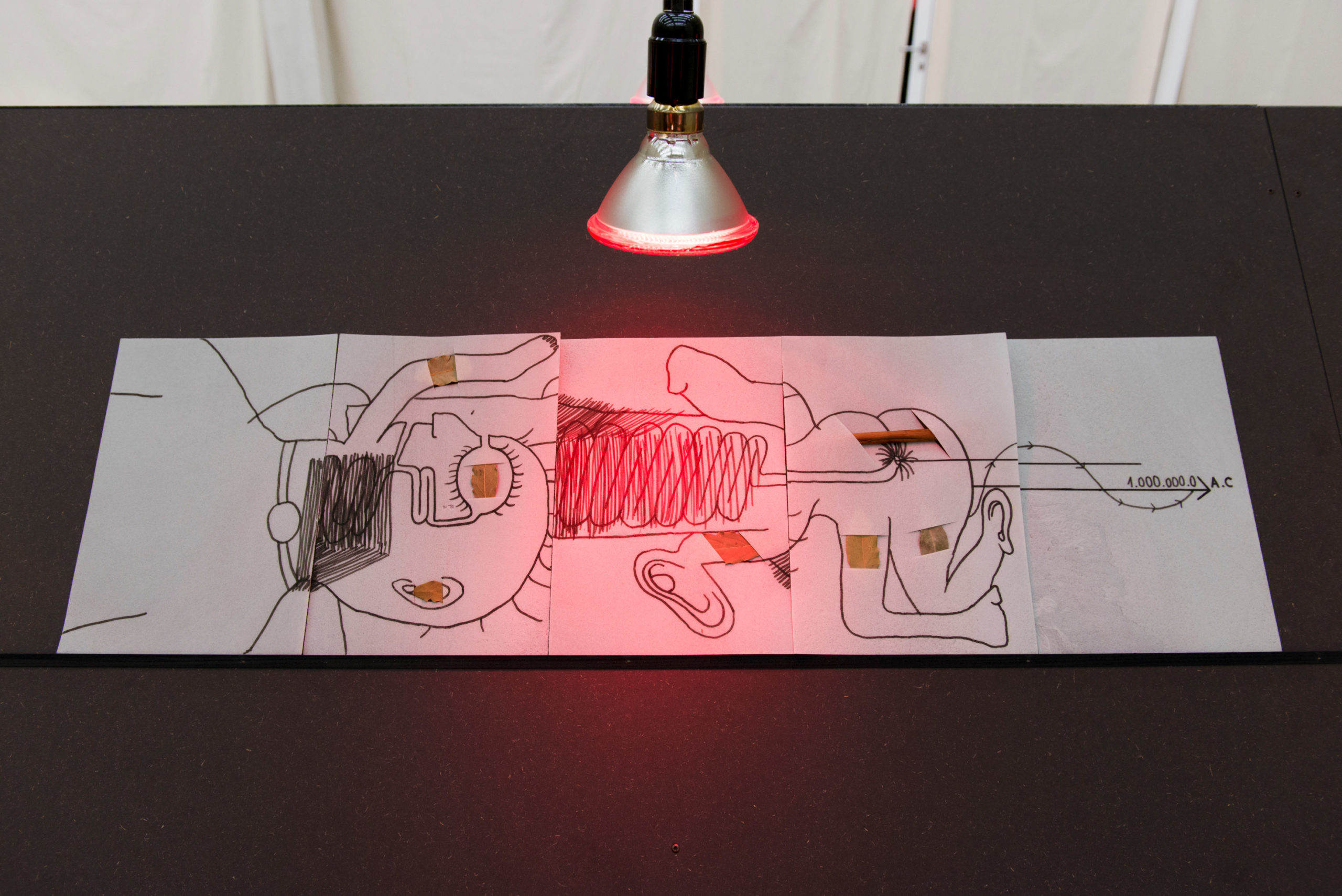 Eduardo Navarro: into ourselves (Fig. 16)