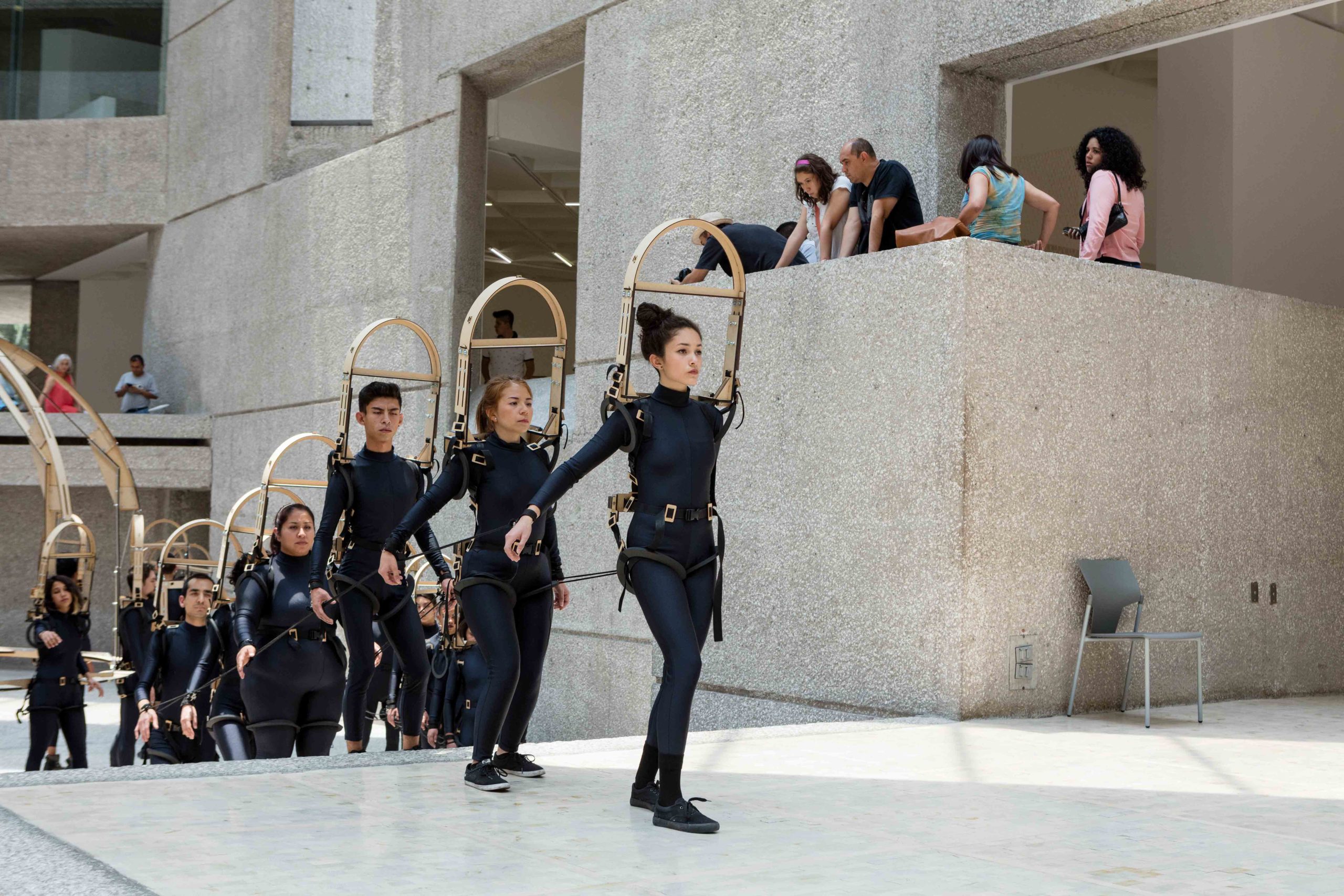 Eduardo Navarro: octopia (Fig. 13)