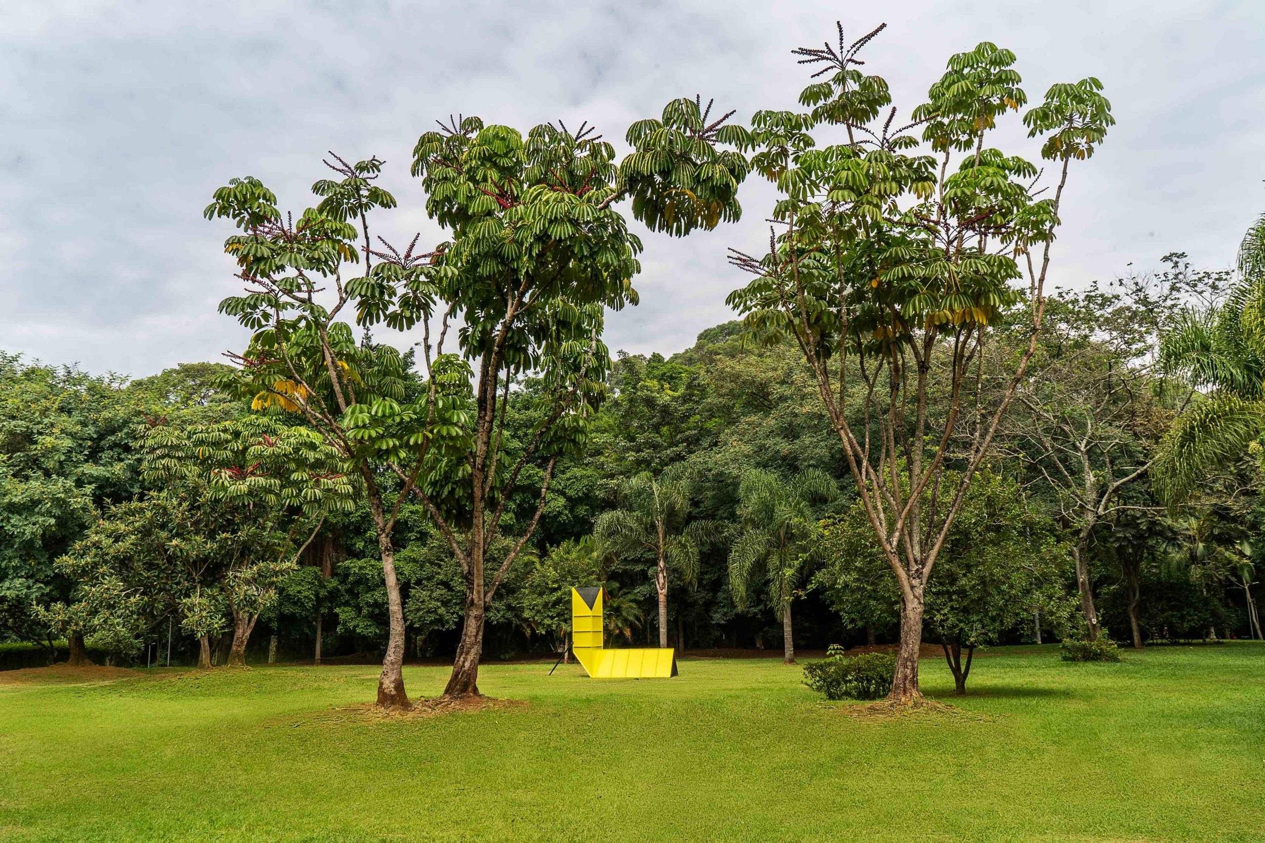 Eduardo Navarro: sky consulate (Fig. 2)