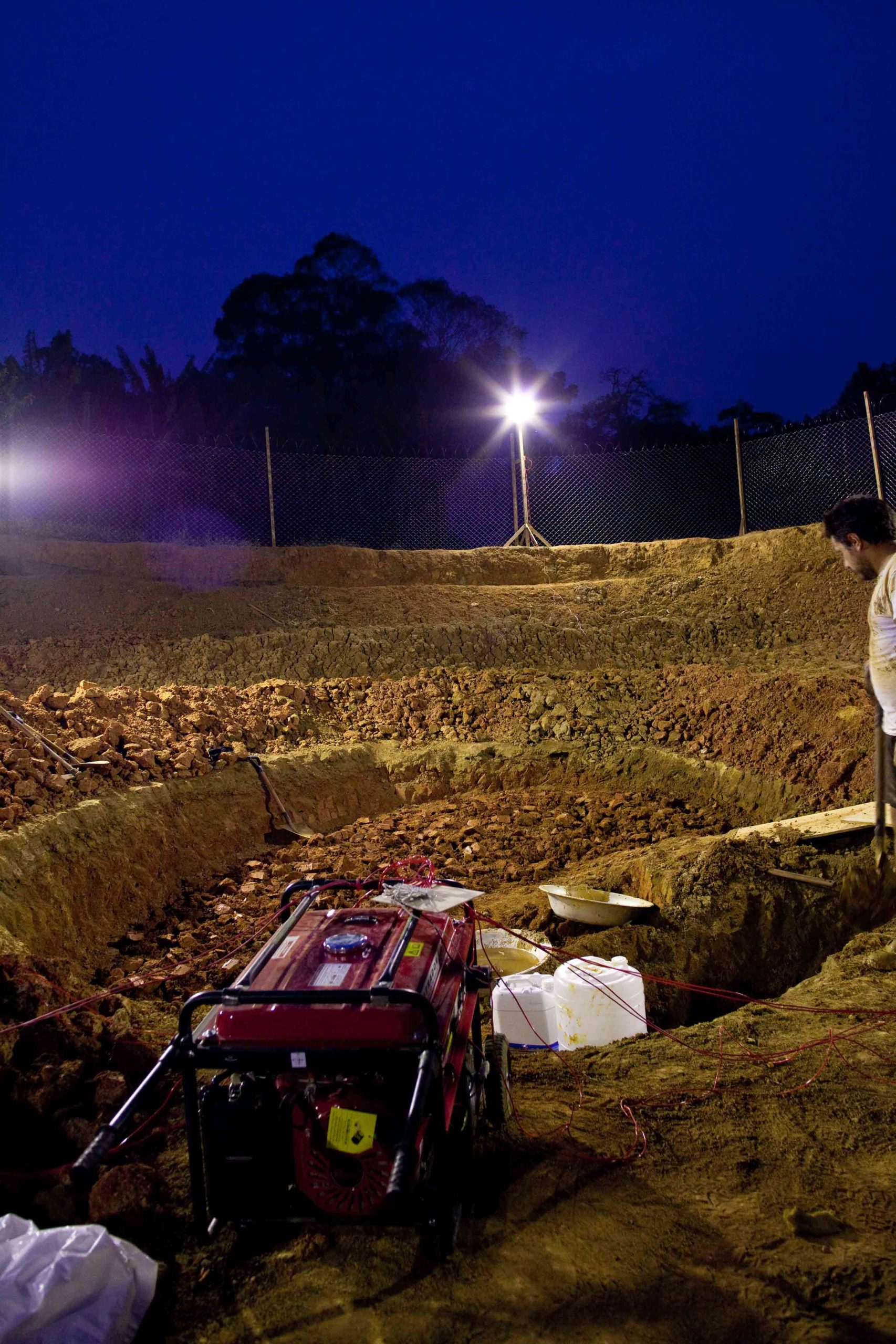 Eduardo Navarro: el dorado (Fig. 2)