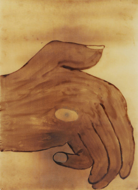 Eduardo Navarro: Drawings (Fig. 366)