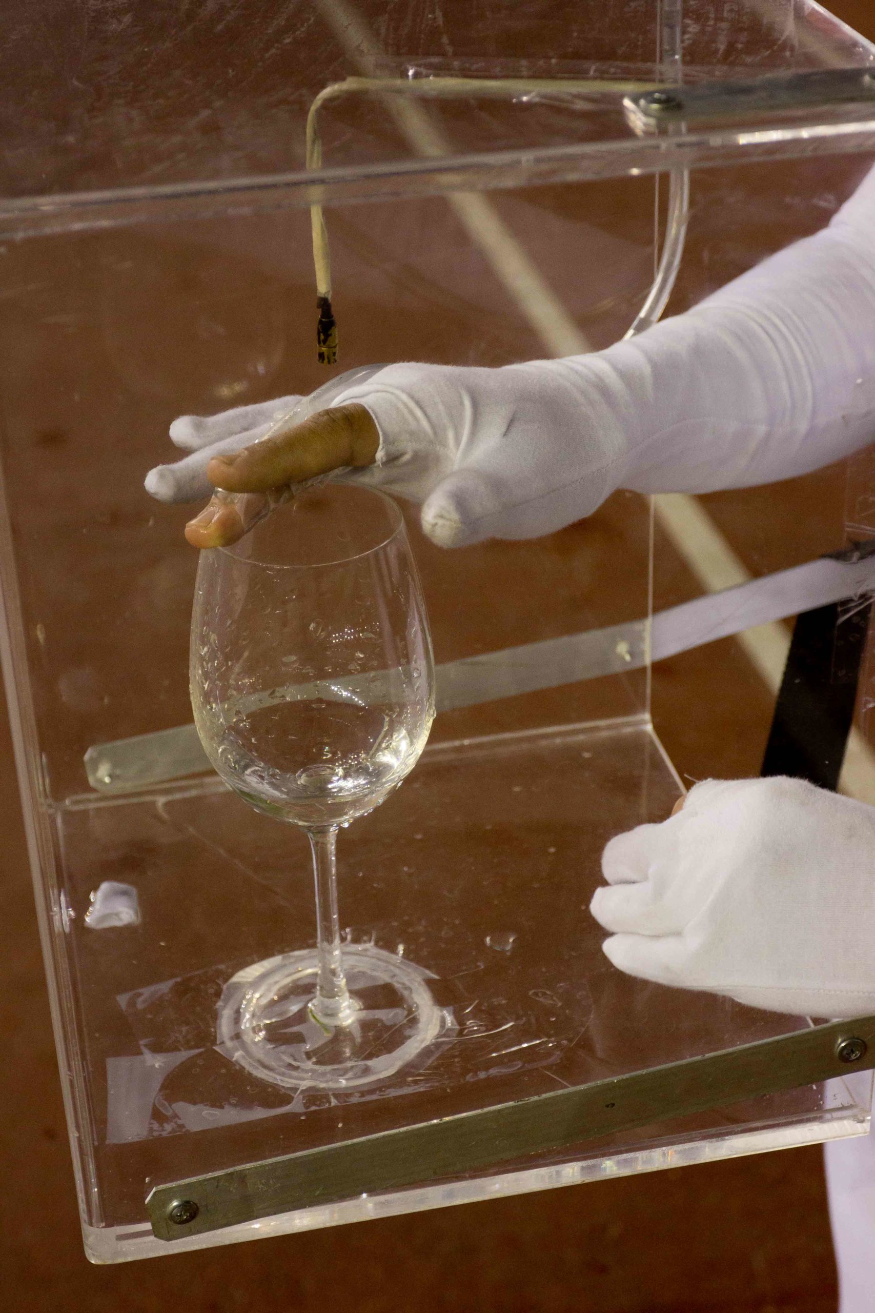 Eduardo Navarro: orbita (Fig. 3)