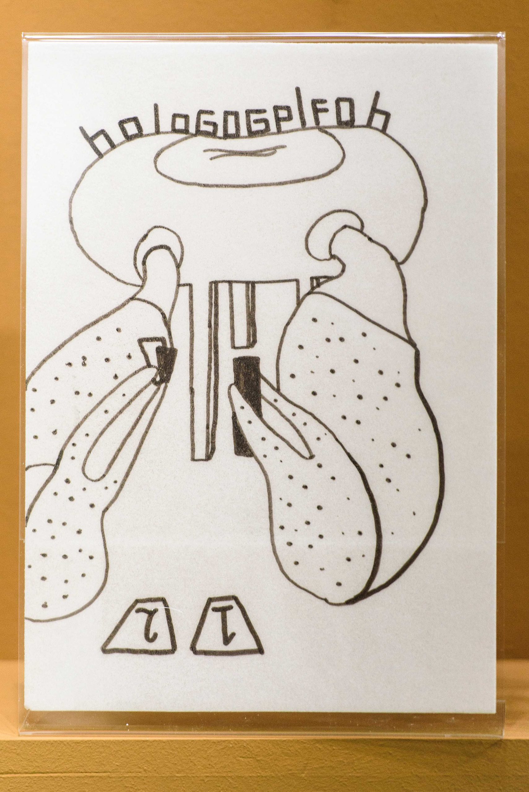 Eduardo Navarro: metabolic drawings (Fig. 2)