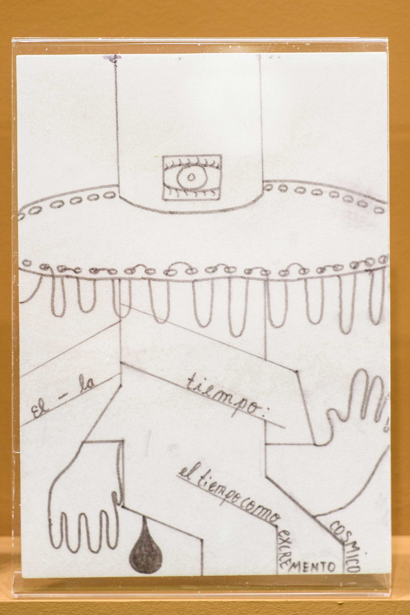 Eduardo Navarro: metabolic drawings (Fig. 5)