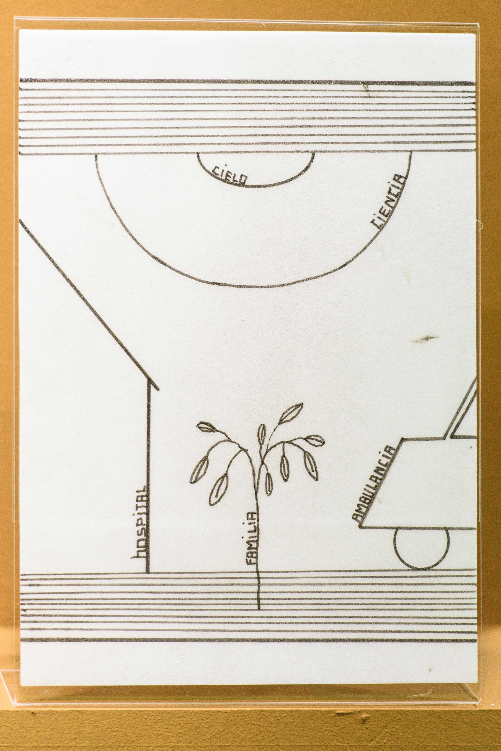 Eduardo Navarro: metabolic drawings (Fig. 7)