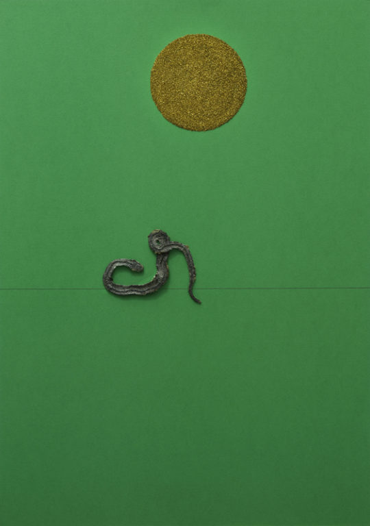 Eduardo Navarro: Drawings (Fig. 419)