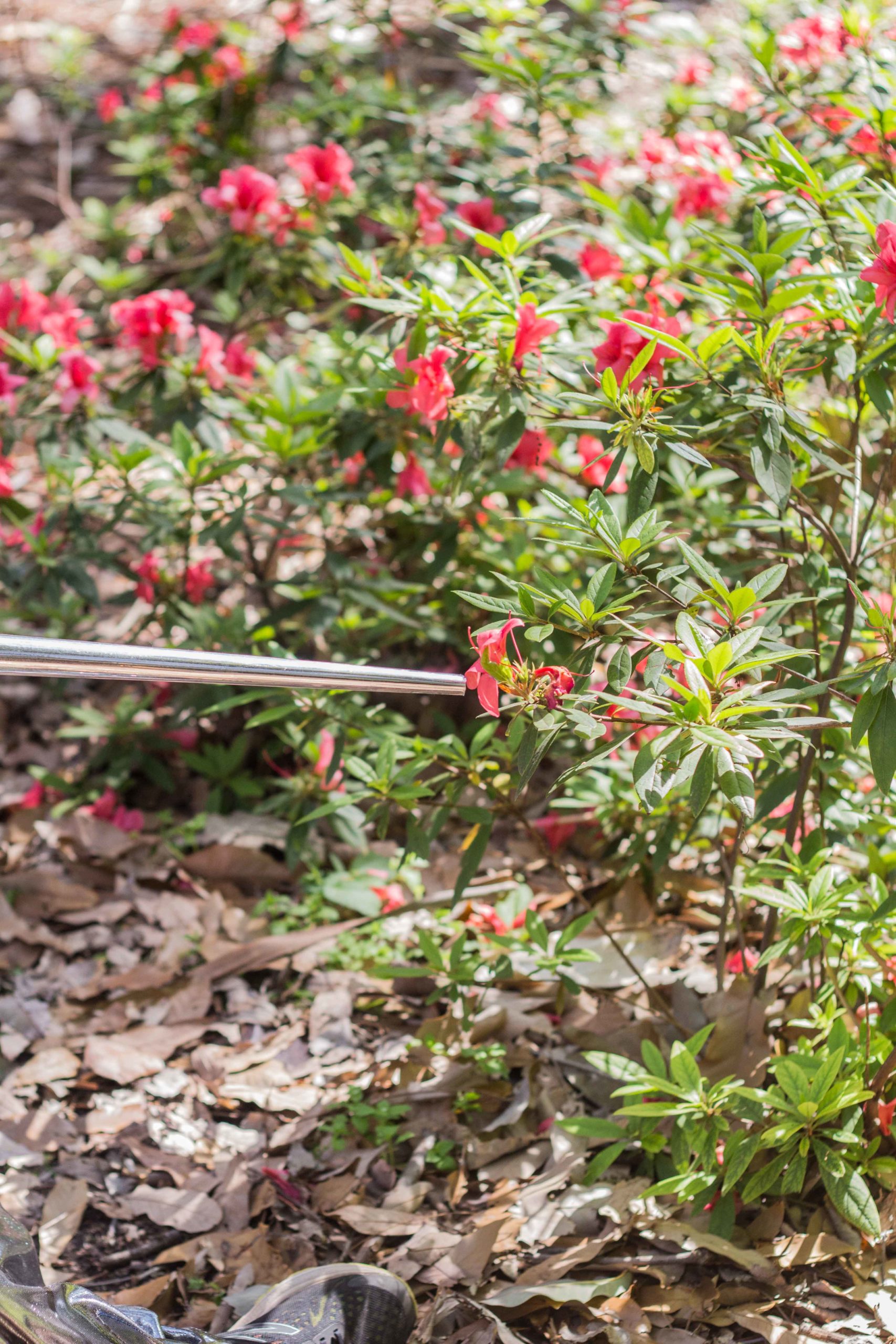 Eduardo Navarro: pollination music ensemble (Fig. 3)