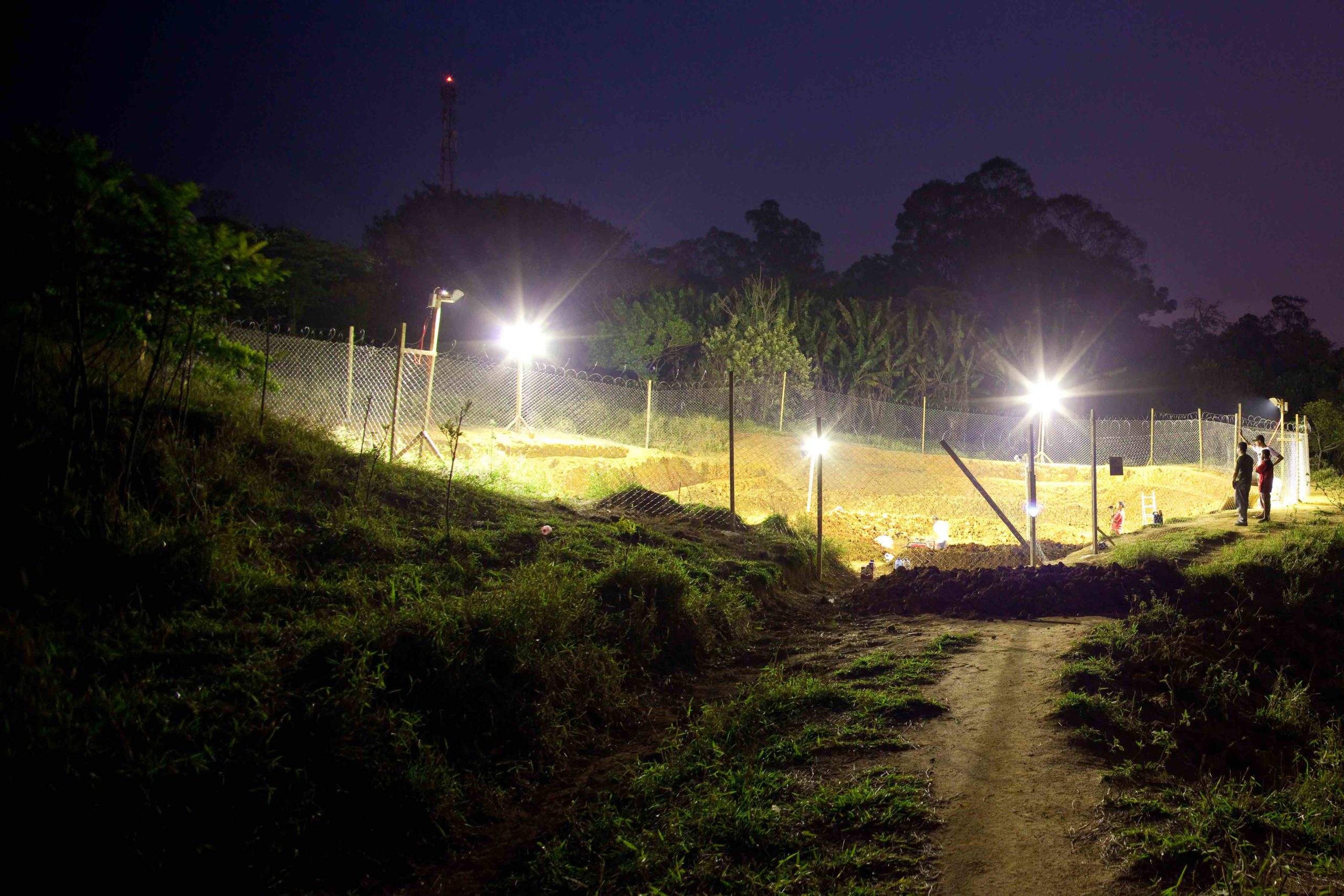 Eduardo Navarro: el dorado (Fig. 3)