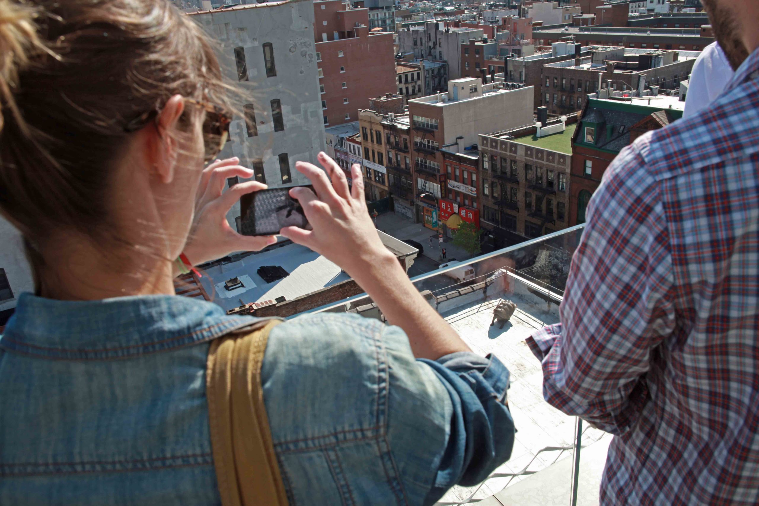 Eduardo Navarro: timeless alex (Fig. 3)