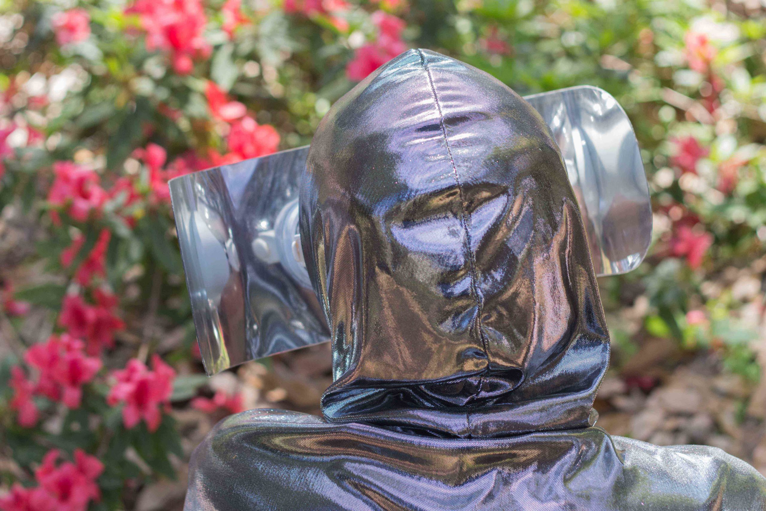 Eduardo Navarro: pollination music ensemble (Fig. 4)