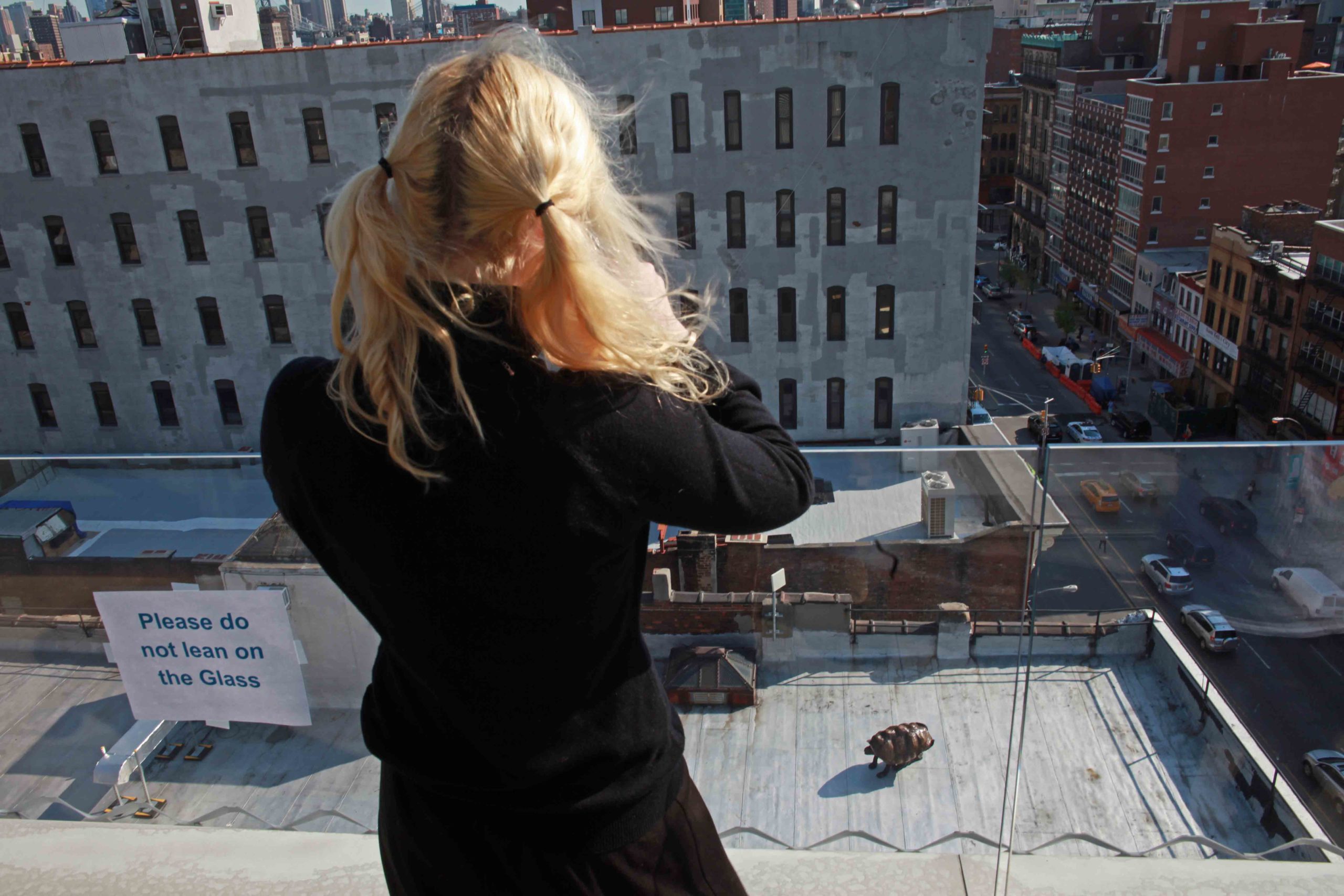 Eduardo Navarro: timeless alex (Fig. 4)