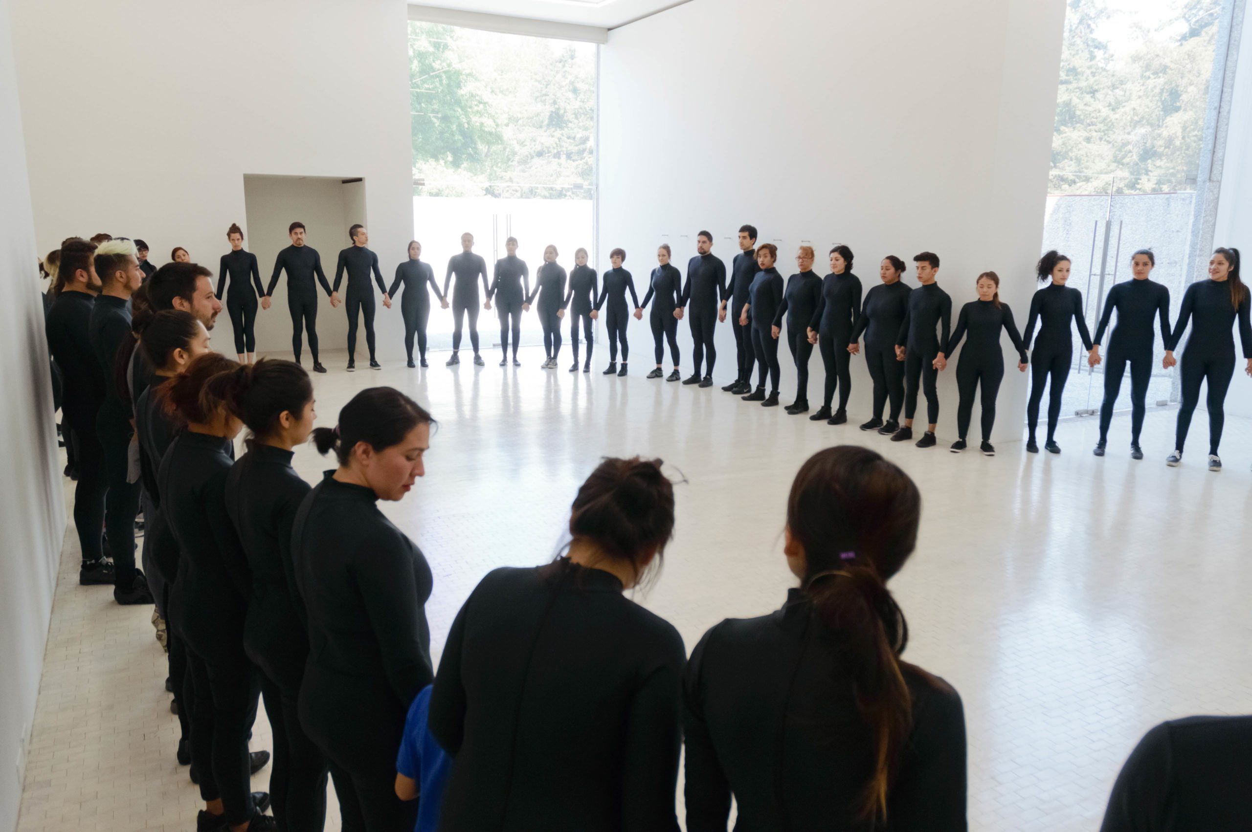 Eduardo Navarro: octopia (Fig. 3)