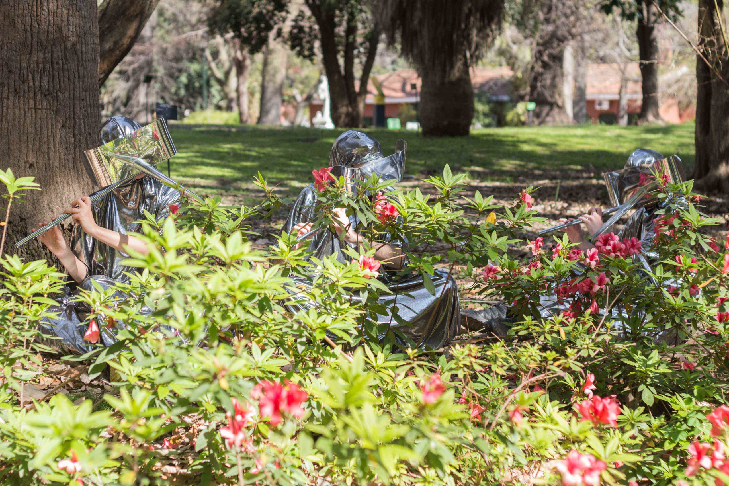 Eduardo Navarro: pollination music ensemble (Fig. 6)
