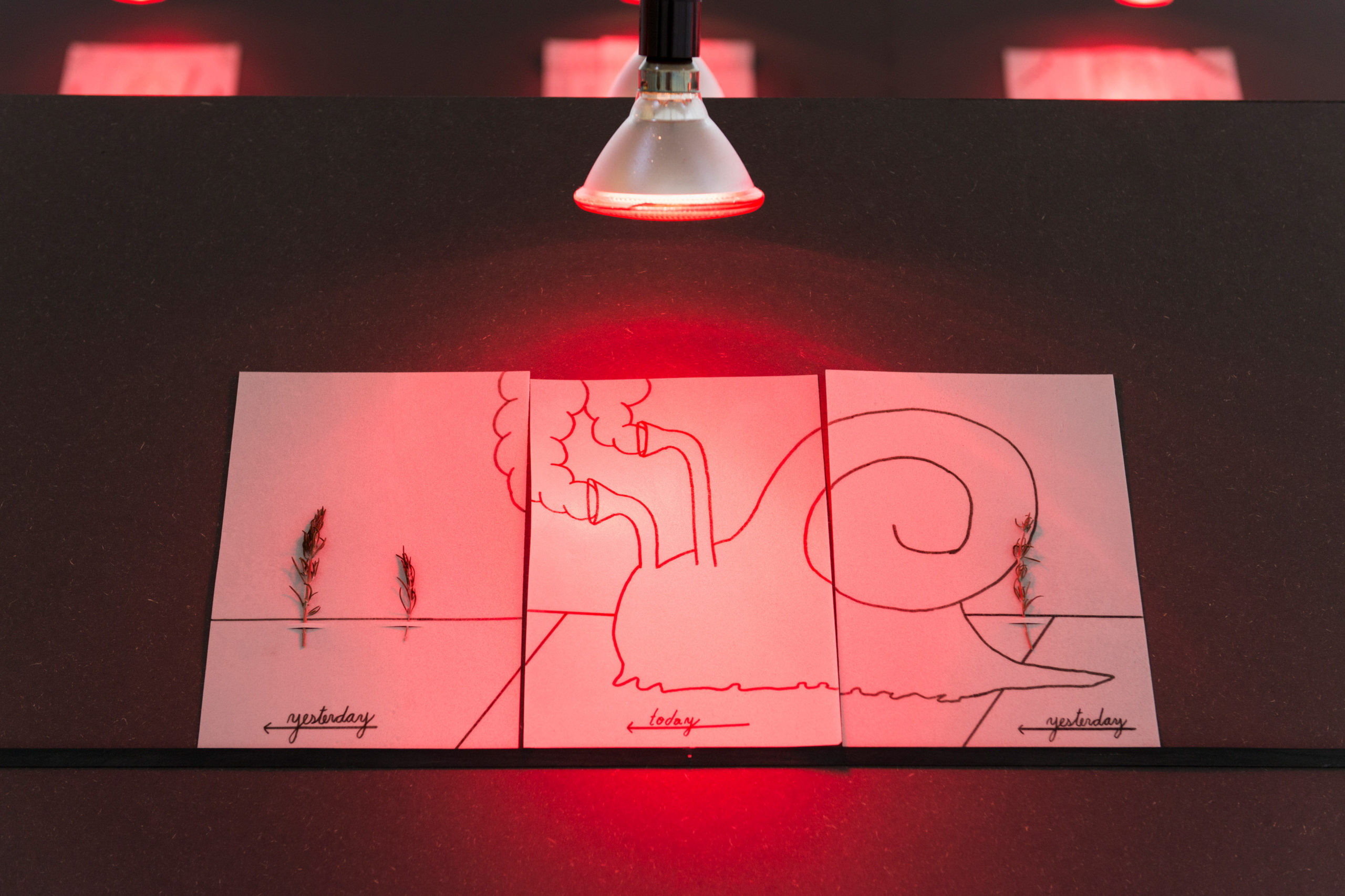 Eduardo Navarro: into ourselves (Fig. 6)