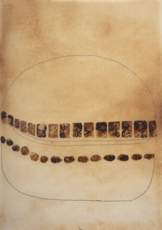 Eduardo Navarro: Drawings (Fig. 209)