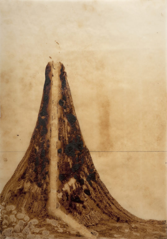 Eduardo Navarro: Drawings (Fig. 726)