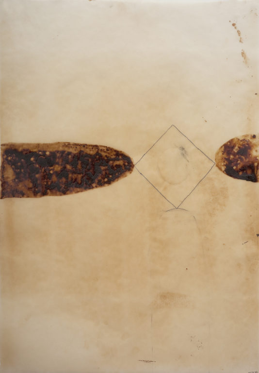 Eduardo Navarro: Drawings (Fig. 274)