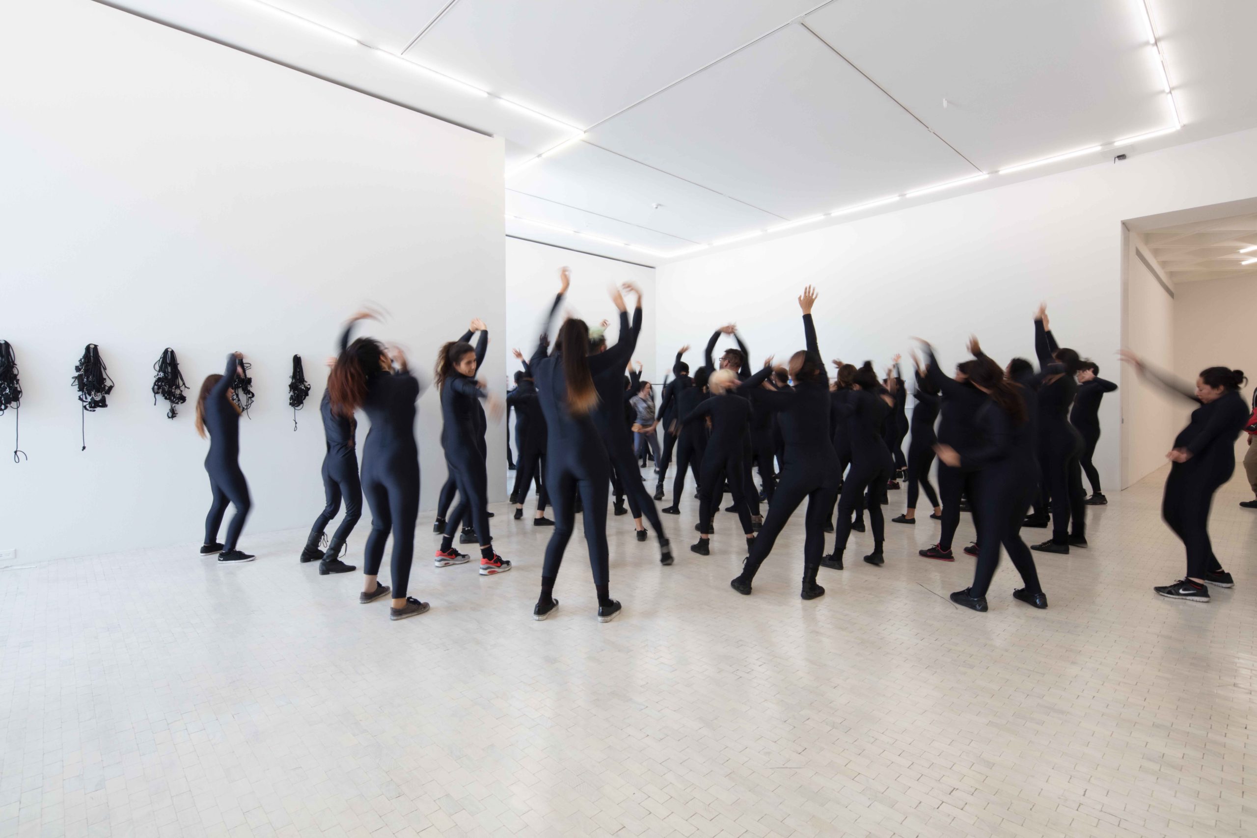 Eduardo Navarro: octopia (Fig. 4)