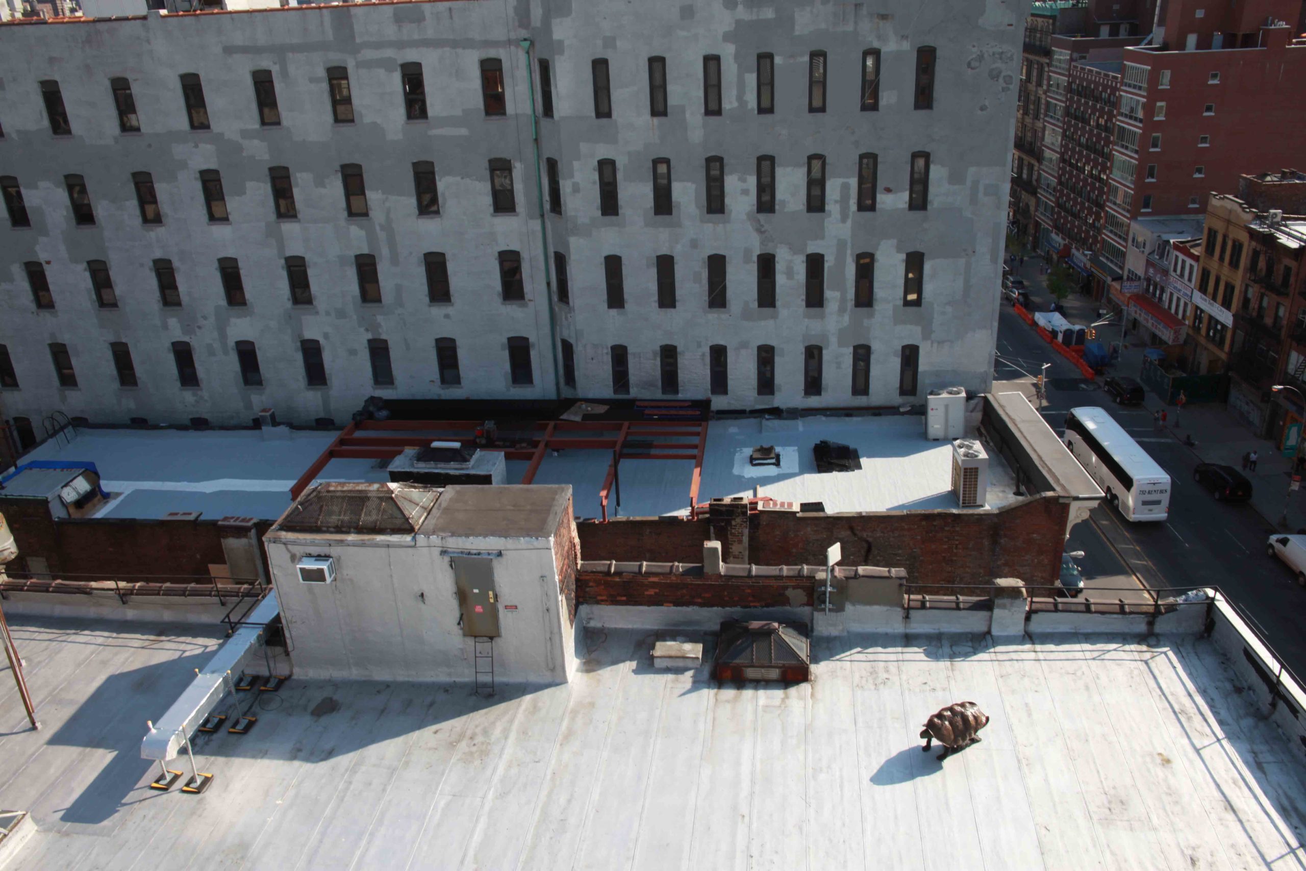 Eduardo Navarro: timeless alex (Fig. 6)