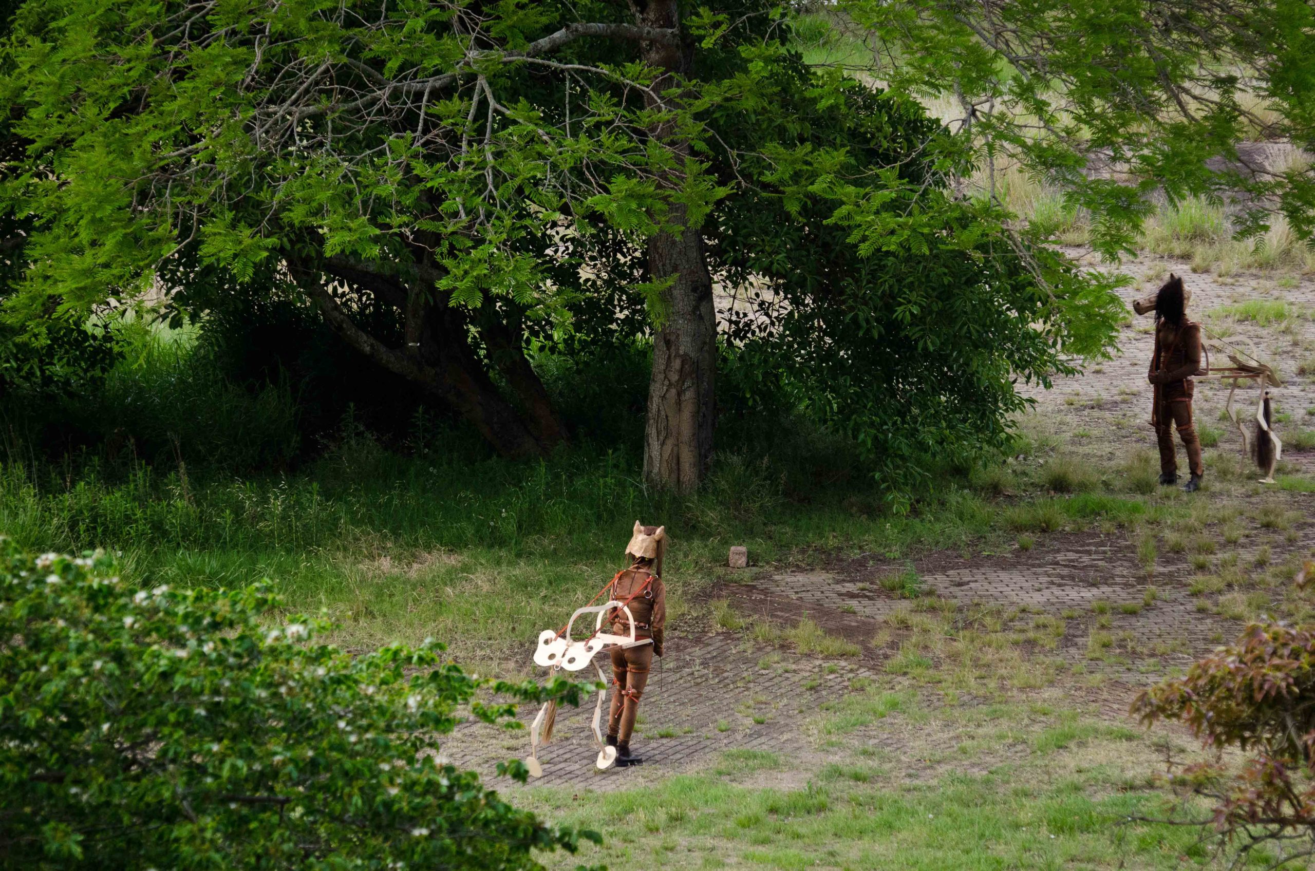 Eduardo Navarro: horses don’t lie (Fig. 5)