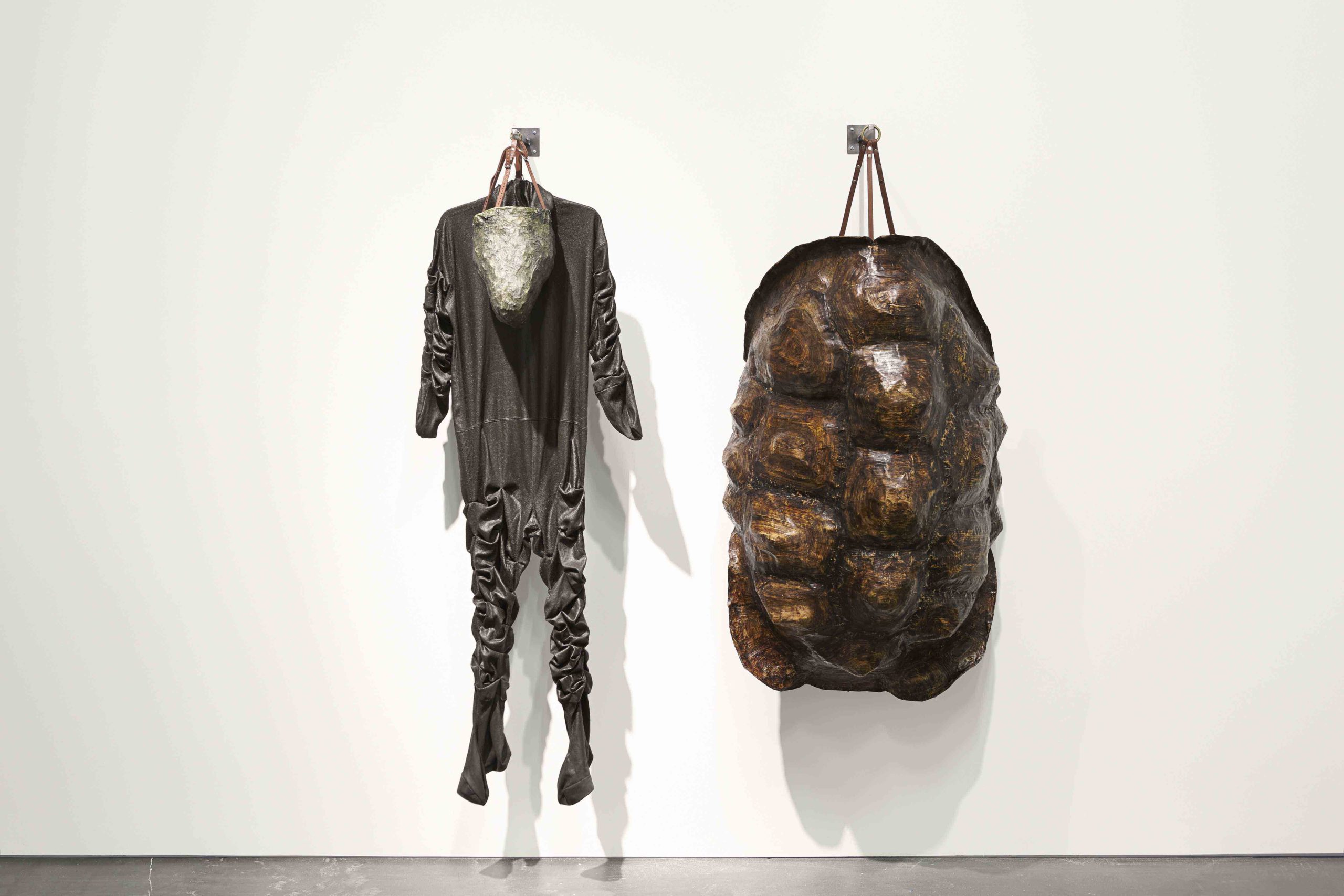 Eduardo Navarro: timeless alex (Fig. 8)