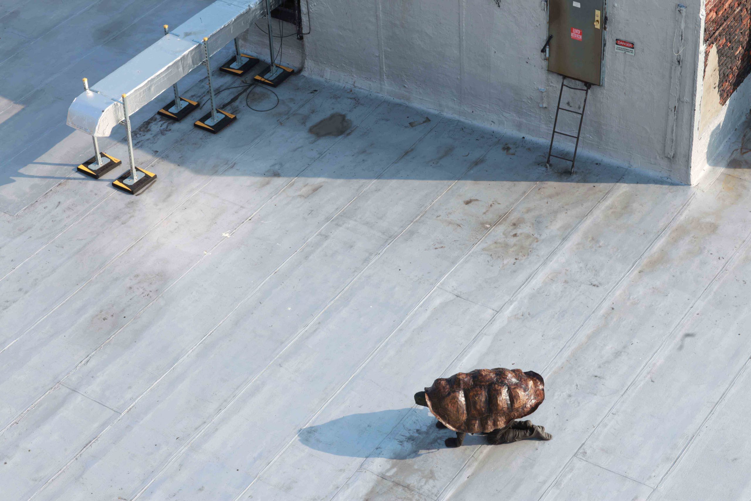 Eduardo Navarro: timeless alex (Fig. 7)