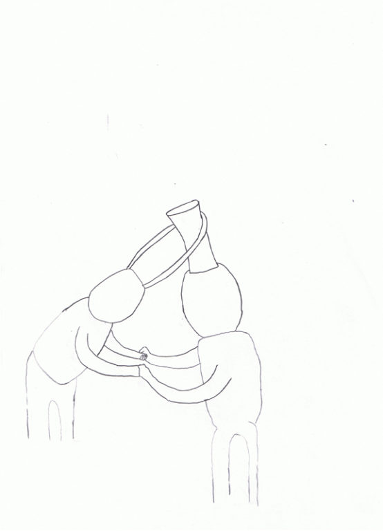 Eduardo Navarro: Drawings (Fig. 384)