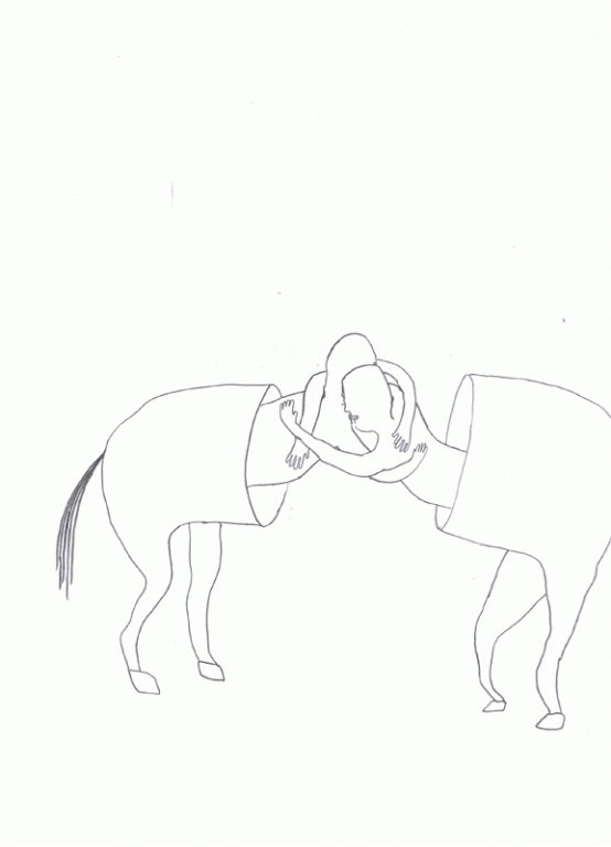 Eduardo Navarro: Drawings (Fig. 247)