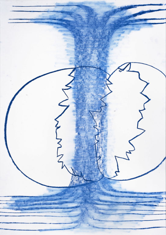 Eduardo Navarro: Drawings (Fig. 562)