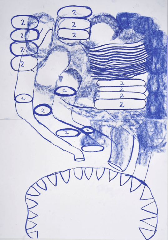 Eduardo Navarro: Drawings (Fig. 555)