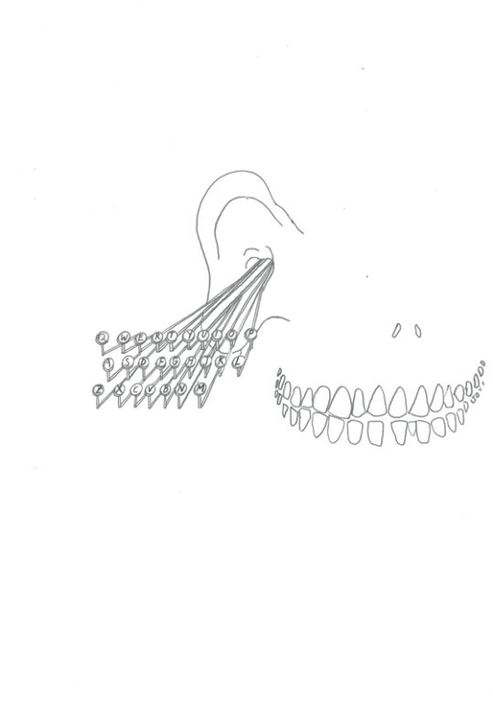 Eduardo Navarro: Drawings (Fig. 6)