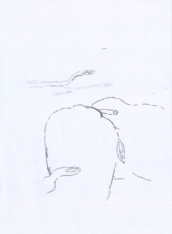 Eduardo Navarro: Drawings (Fig. 412)