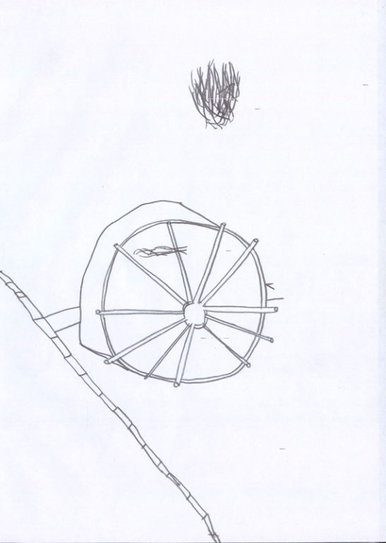 Eduardo Navarro: Drawings (Fig. 235)