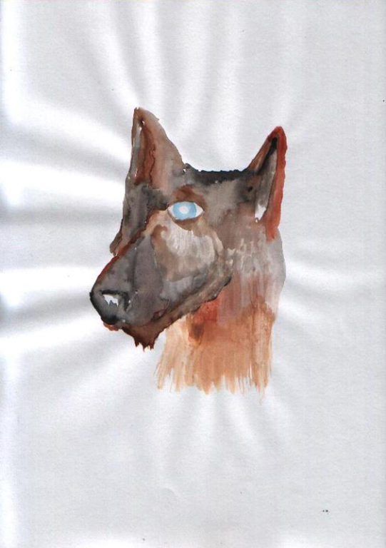 Eduardo Navarro: Drawings (Fig. 677)