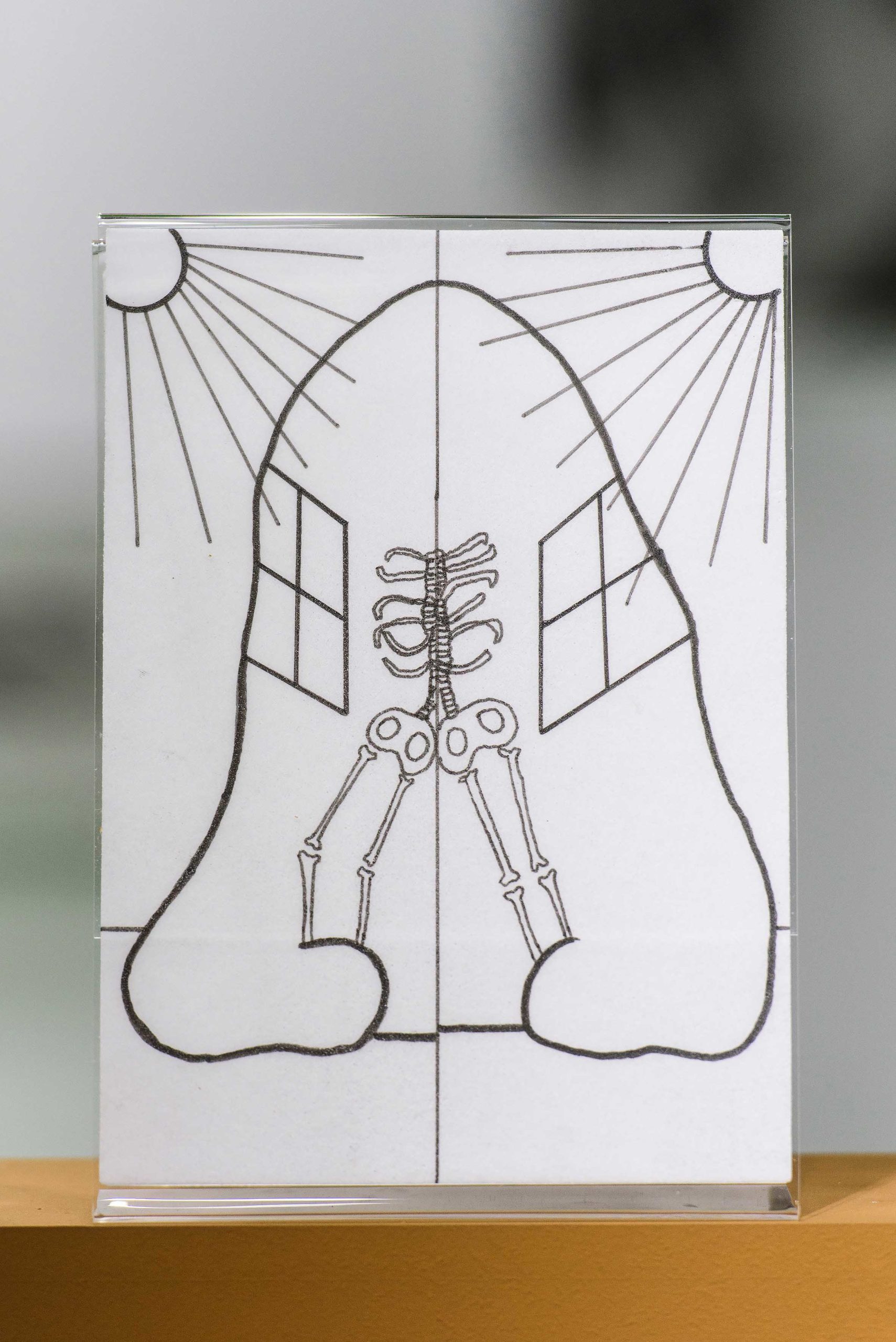Eduardo Navarro: metabolic drawings (Fig. 17)