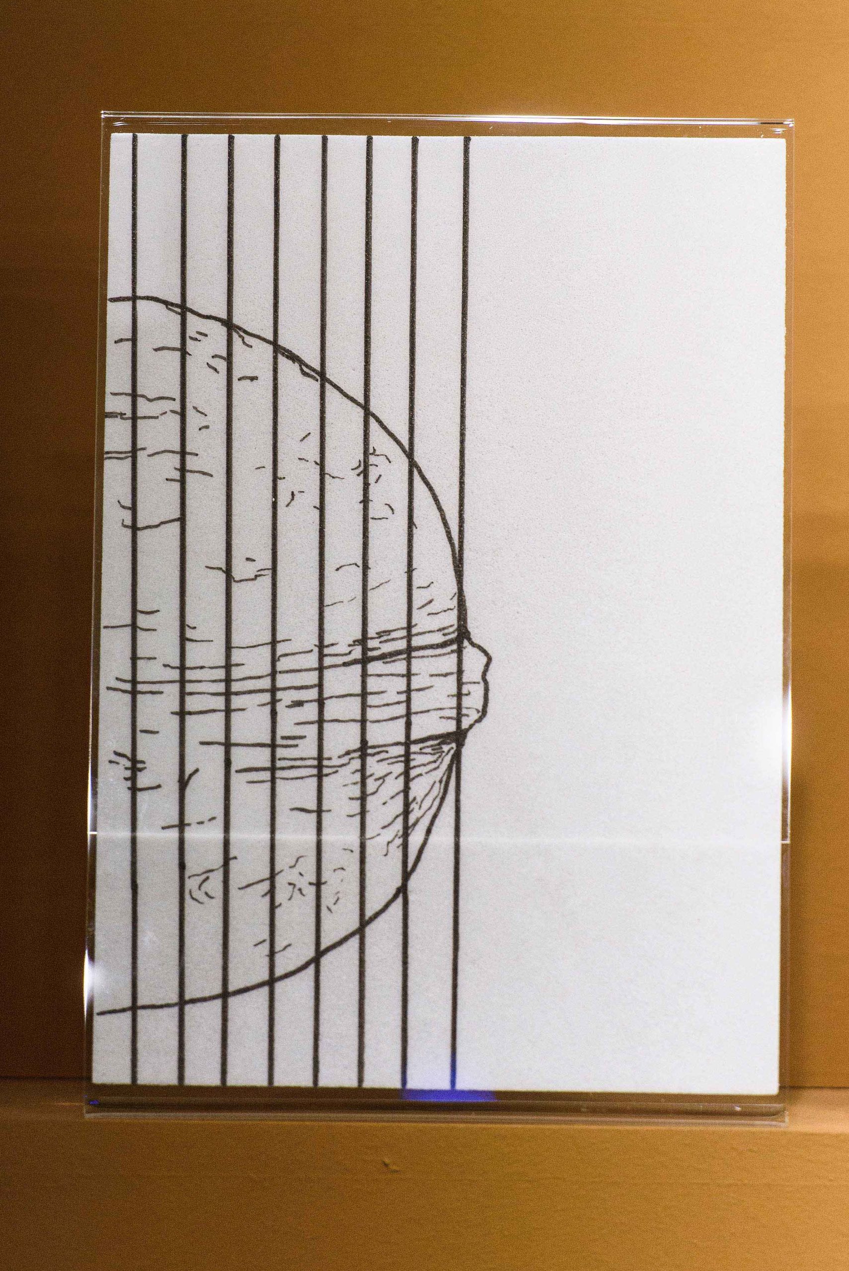 Eduardo Navarro: metabolic drawings (Fig. 24)