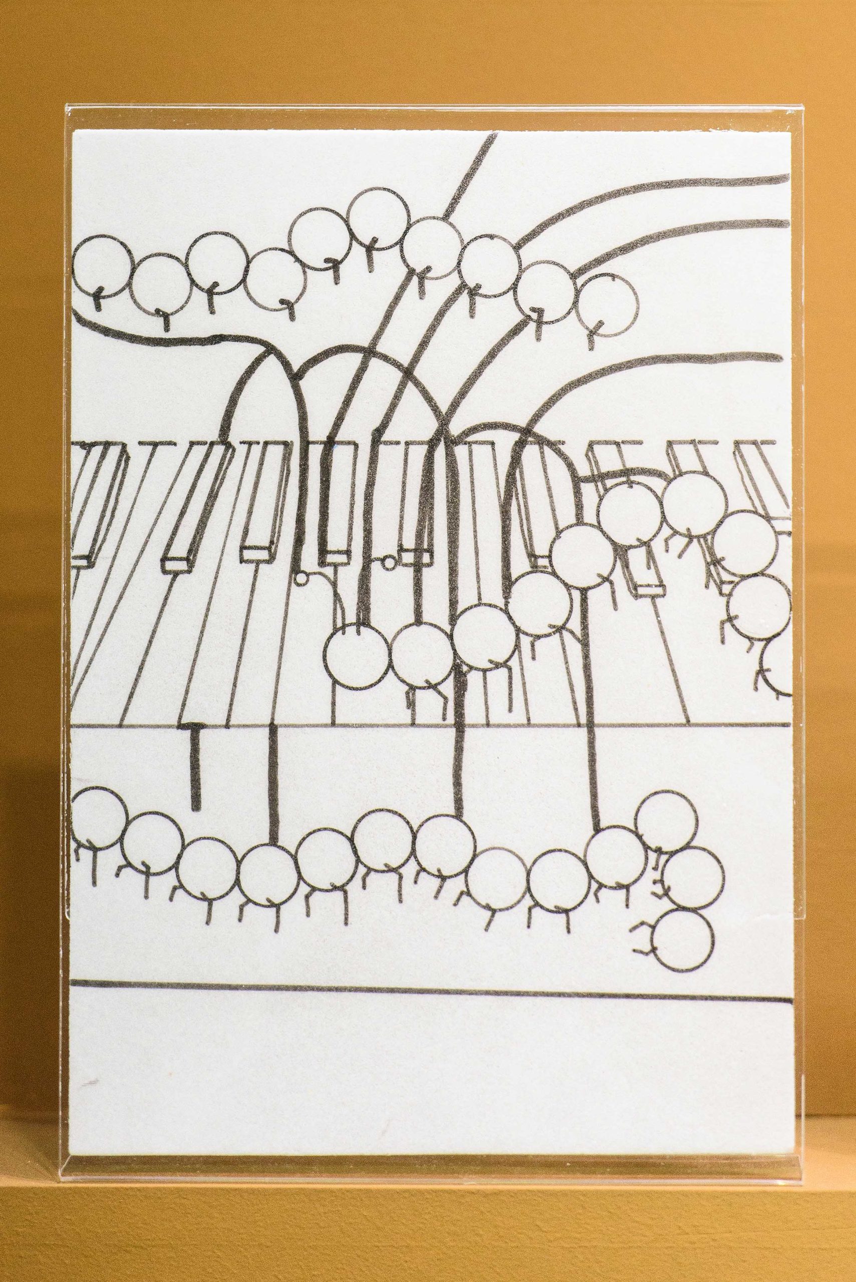 Eduardo Navarro: metabolic drawings (Fig. 27)