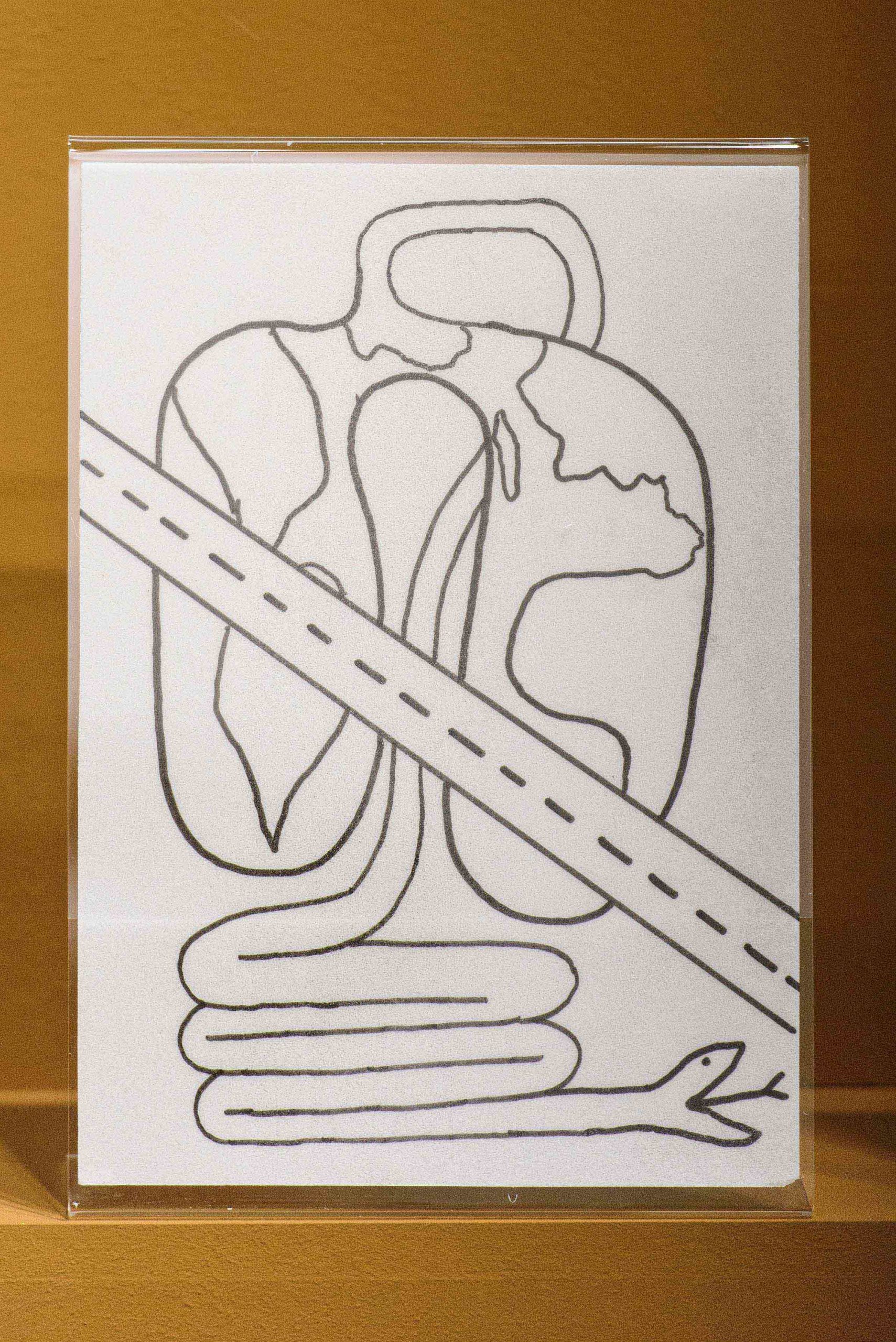 Eduardo Navarro: metabolic drawings (Fig. 43)