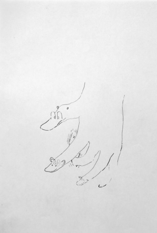 Eduardo Navarro: Drawings (Fig. 741)