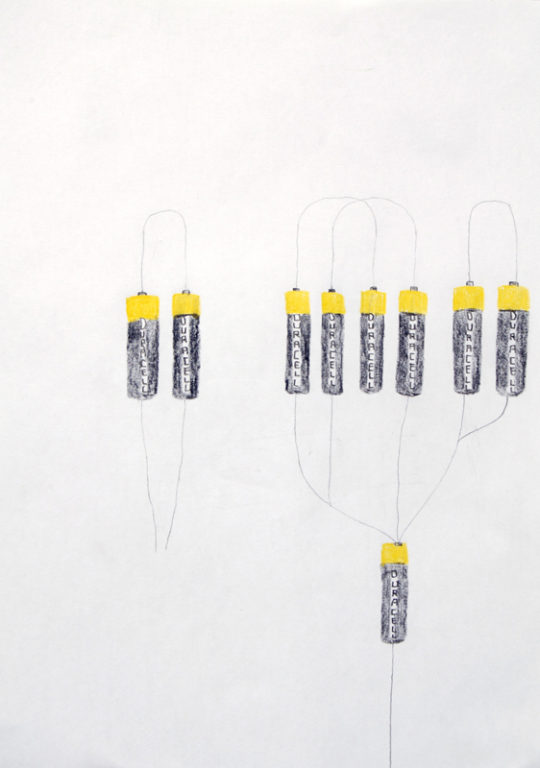 Eduardo Navarro: Drawings (Fig. 491)